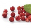 Strawberry Bowlenzauber 